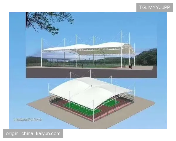 球员场边技术台使用规则与教练权限说明，球场角色